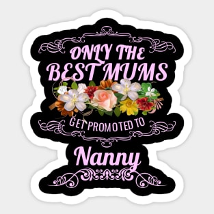 Only The Best Mums Get Promoted To Nanny Gift Sticker